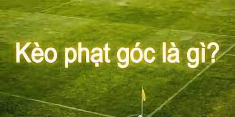 Cách phân tích toàn diện để đầu tư vào cược phạt góc