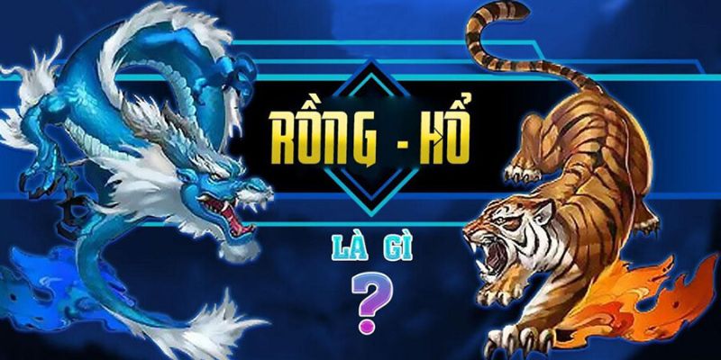 Giải đáp chi tiết rồng hổ là gì?